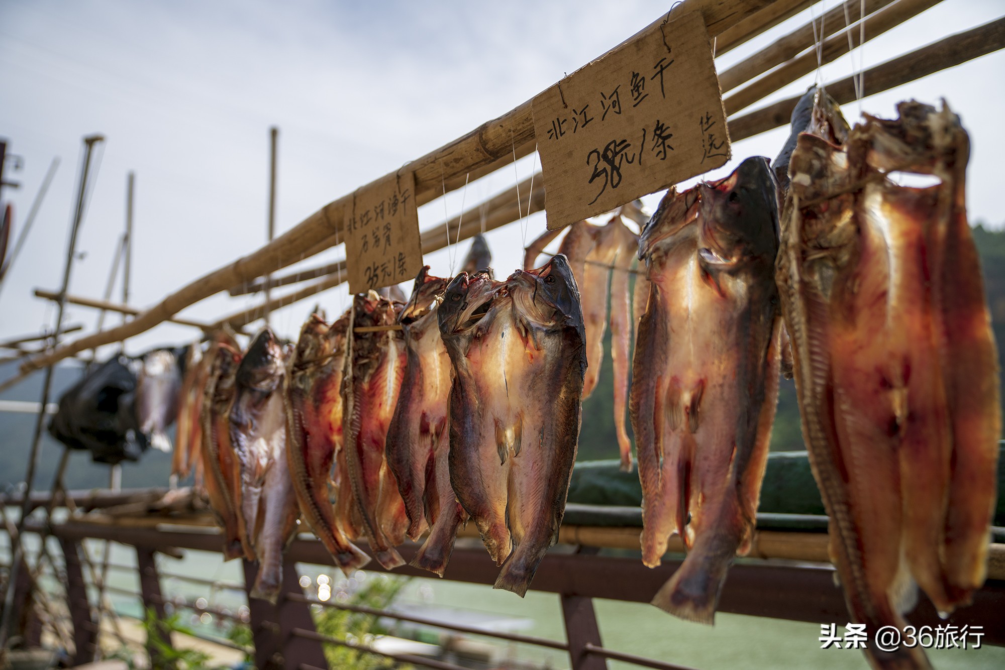 清远白庙一日游攻略,清远两天一夜游攻略黄腾峡
