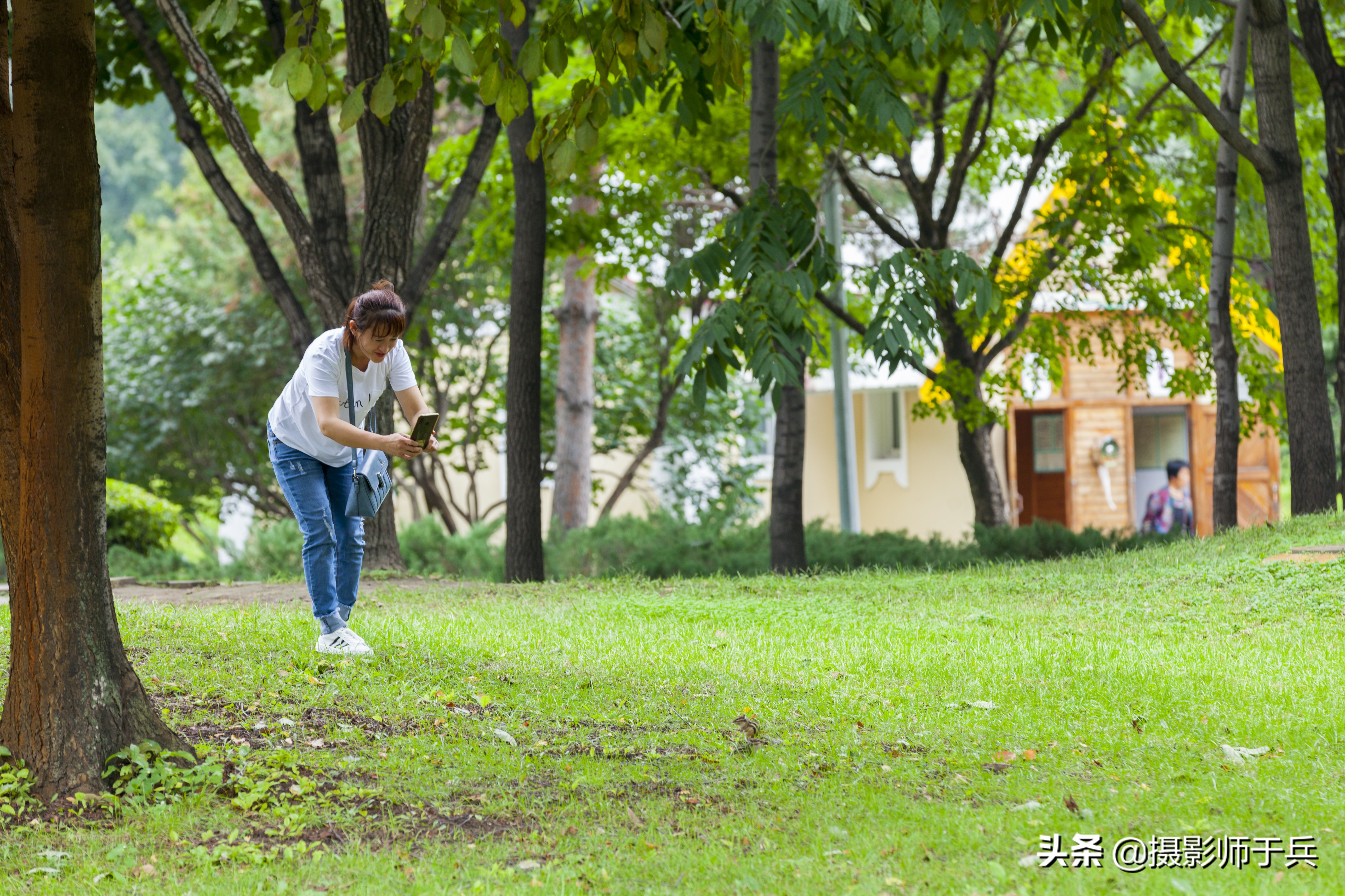 哈尔滨太阳岛美丽的秋色,哈尔滨美丽的太阳岛