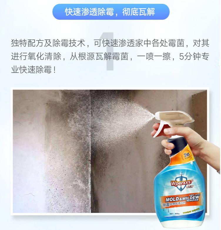 霉菌比*霜砒**毒还毒68倍？你家屋子里这些发霉的地方都清理了吗？