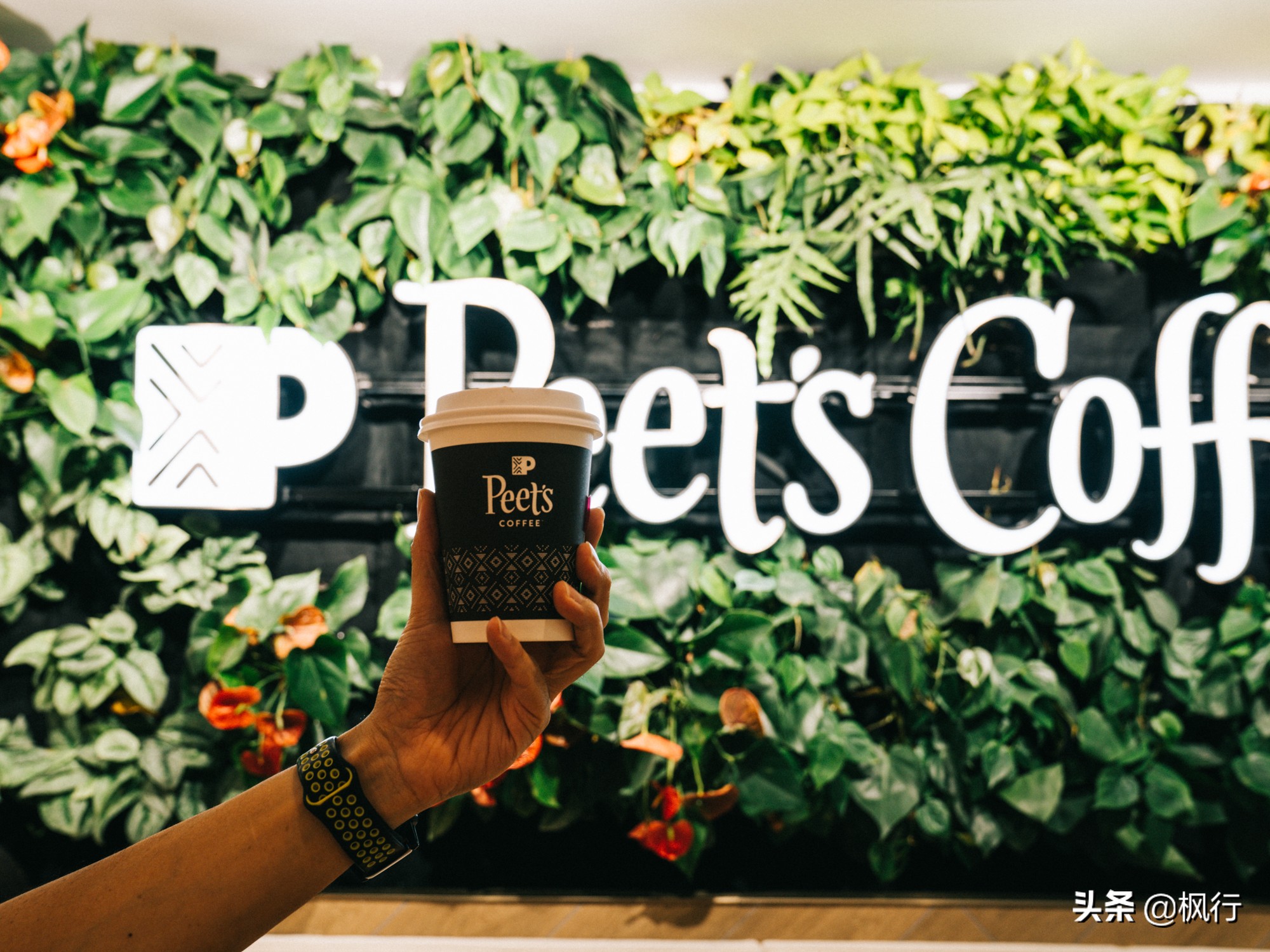 北京必去的咖啡馆推荐,从什刹海到王府井