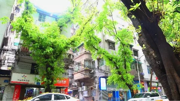 广州房租2019年涨幅,广州房租2024最新行情