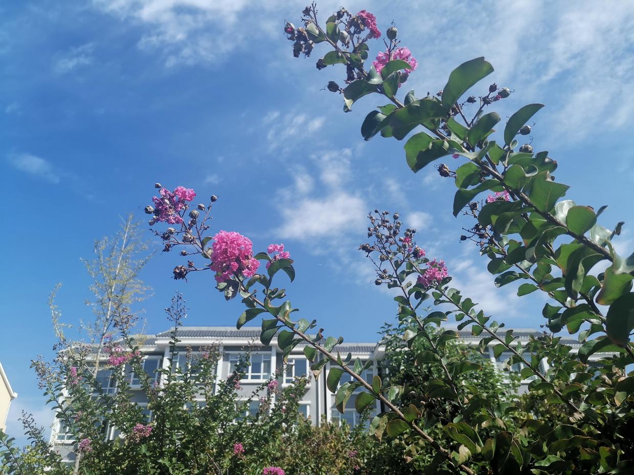 支付宝余额宝钱消失了怎么办,支付宝里借呗怎么突然消失了