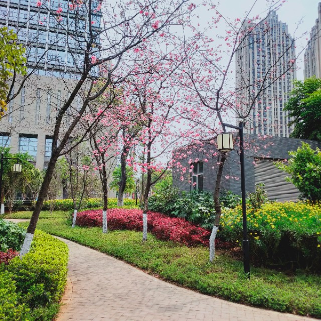 今天来户外美食风景，开箱一个快递*级A**别的快递，看看是什么