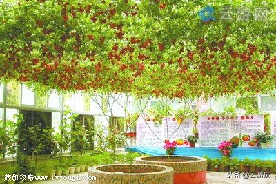 珠海旅游十大必去景点排名第一,珠海游玩十大景点推荐