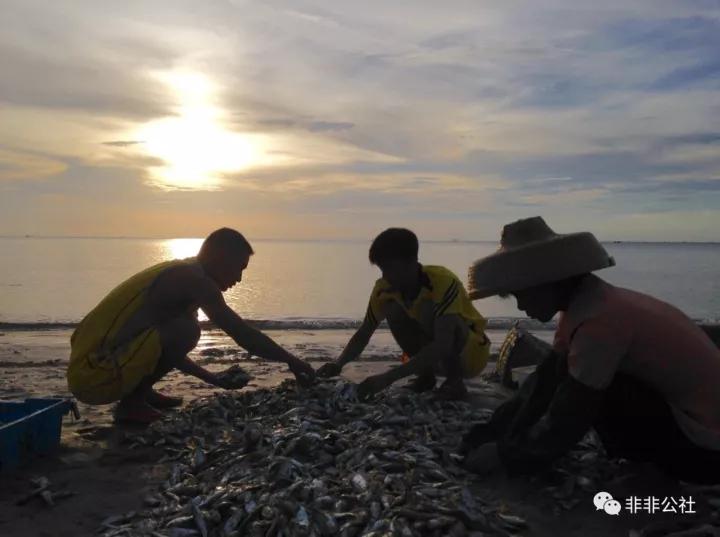 湛江游玩打卡攻略路线,湛江行程攻略