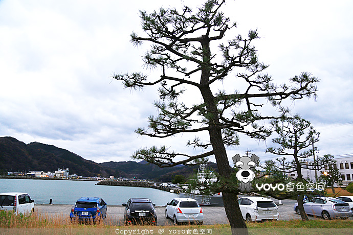寻味青花鱼，探访「鲭街道」的起点：小浜
