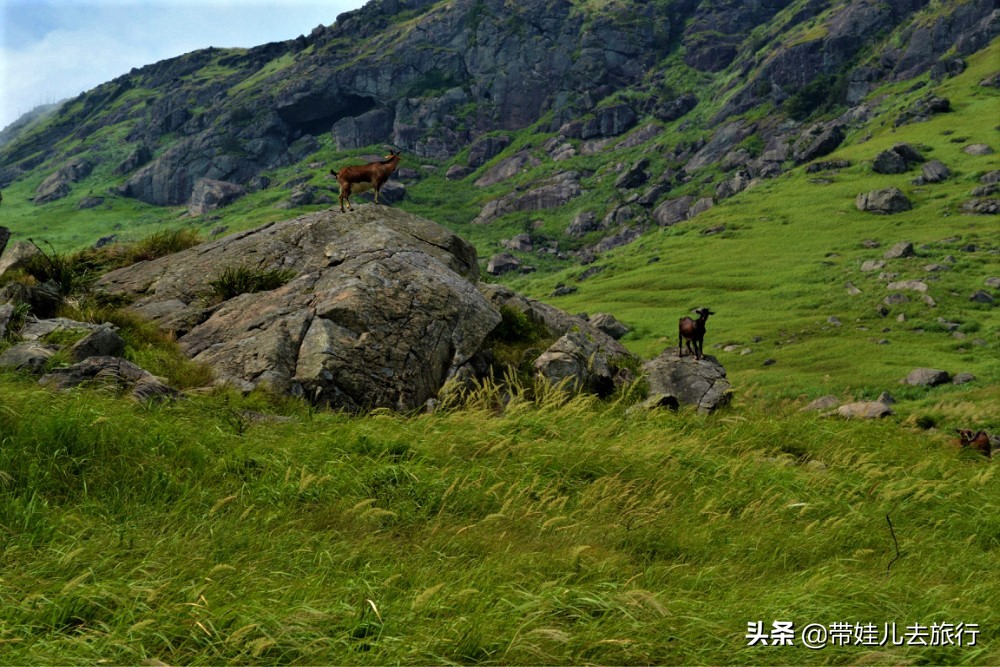 福建最美的海边小村,福建最美海边小山村