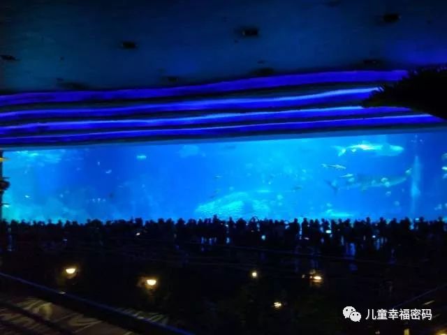 珠海长隆和广州长隆亲子游攻略,长隆野生动物园亲子游最佳攻略