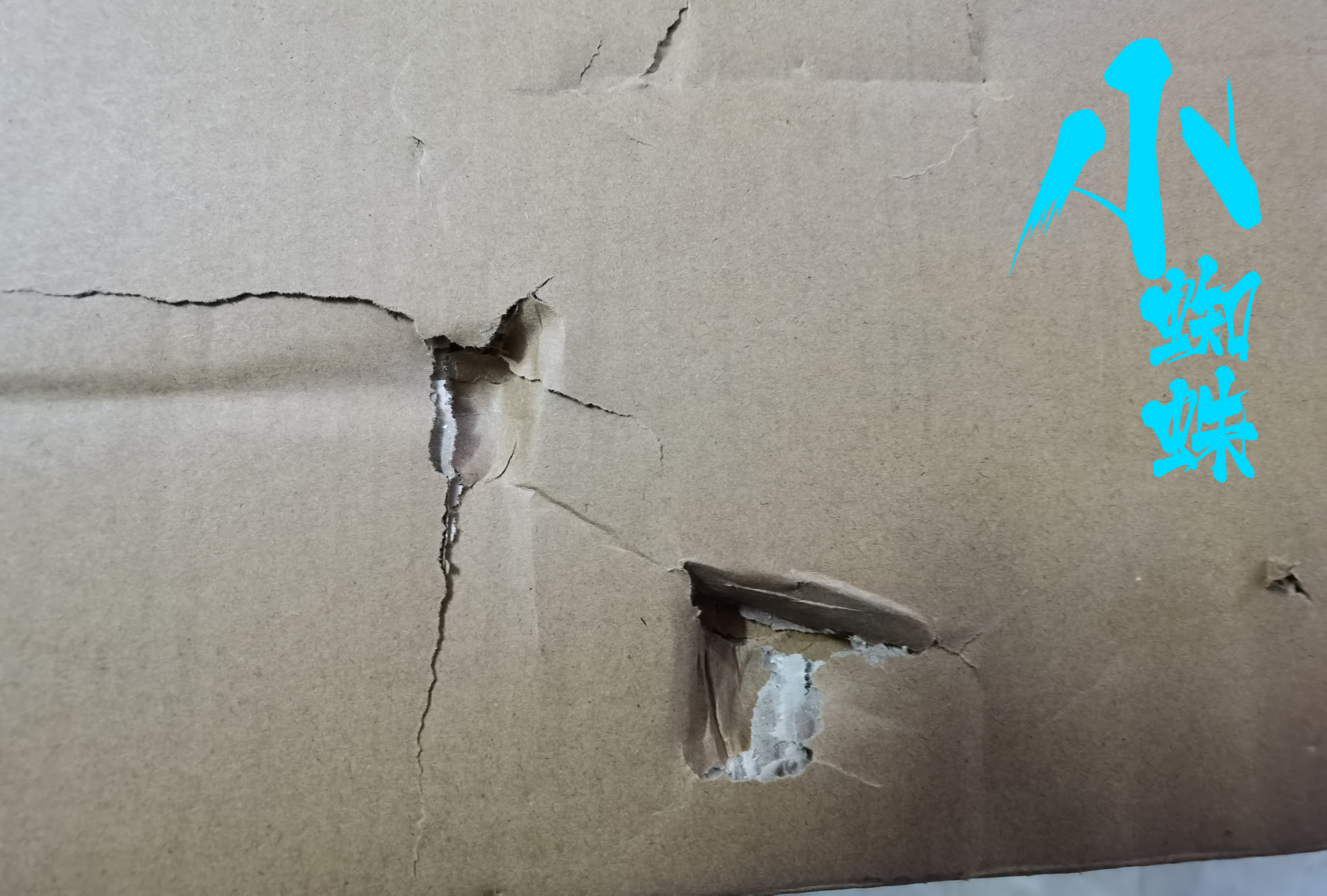 t社乔巴测评,t社同款乔巴