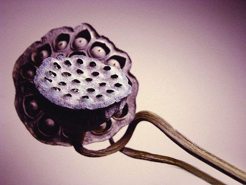 如何拍出清晰度较高的相片,5d2怎么拍出清晰锐利的照片