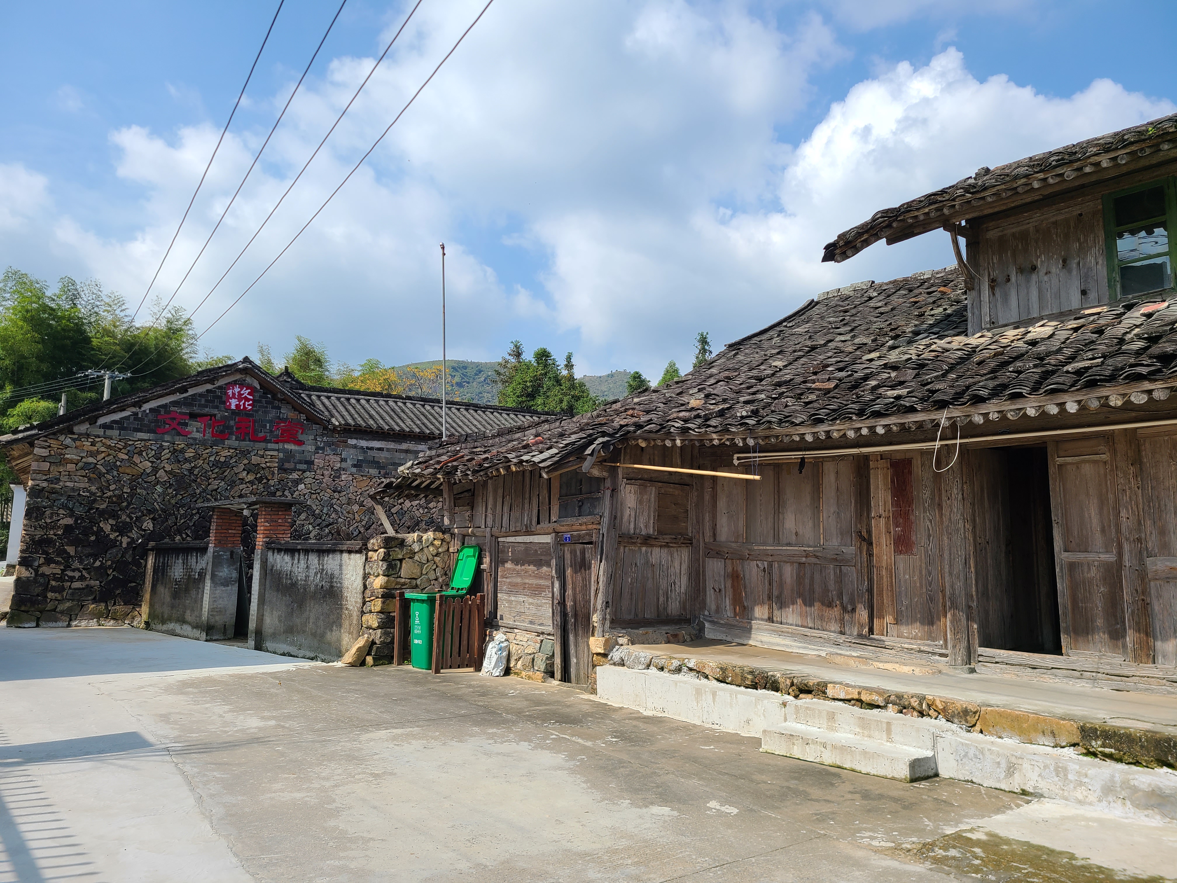 泰顺最出名的茶叶 (泰顺名茶有哪些)