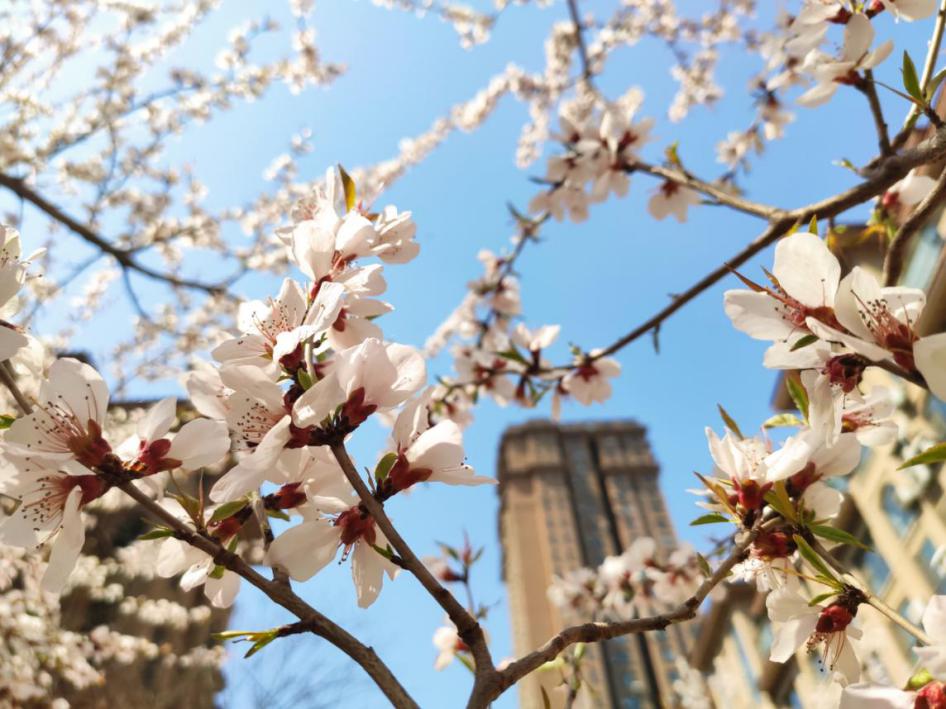 线上快进,线下激活!五月,荣盛物业渐进式启动双线社活