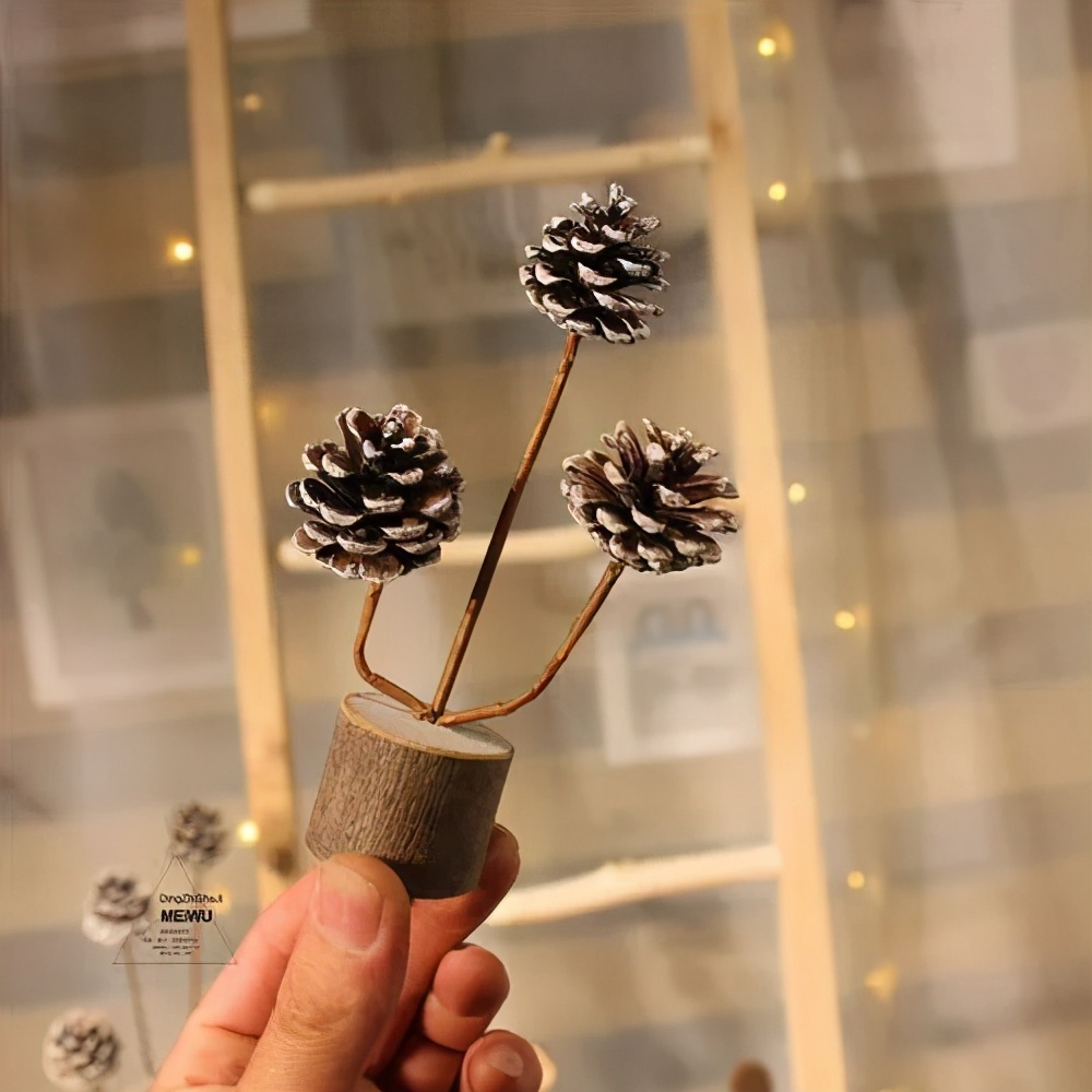 春日自然教育,春日茶语正能量