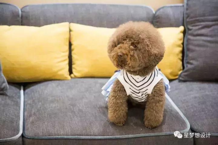 【陌上花开共流年】十堰四方新城140㎡实景拍摄