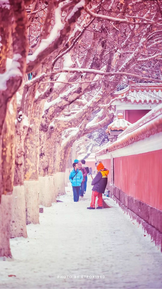 大咖|一位60后教授的崂山两日游