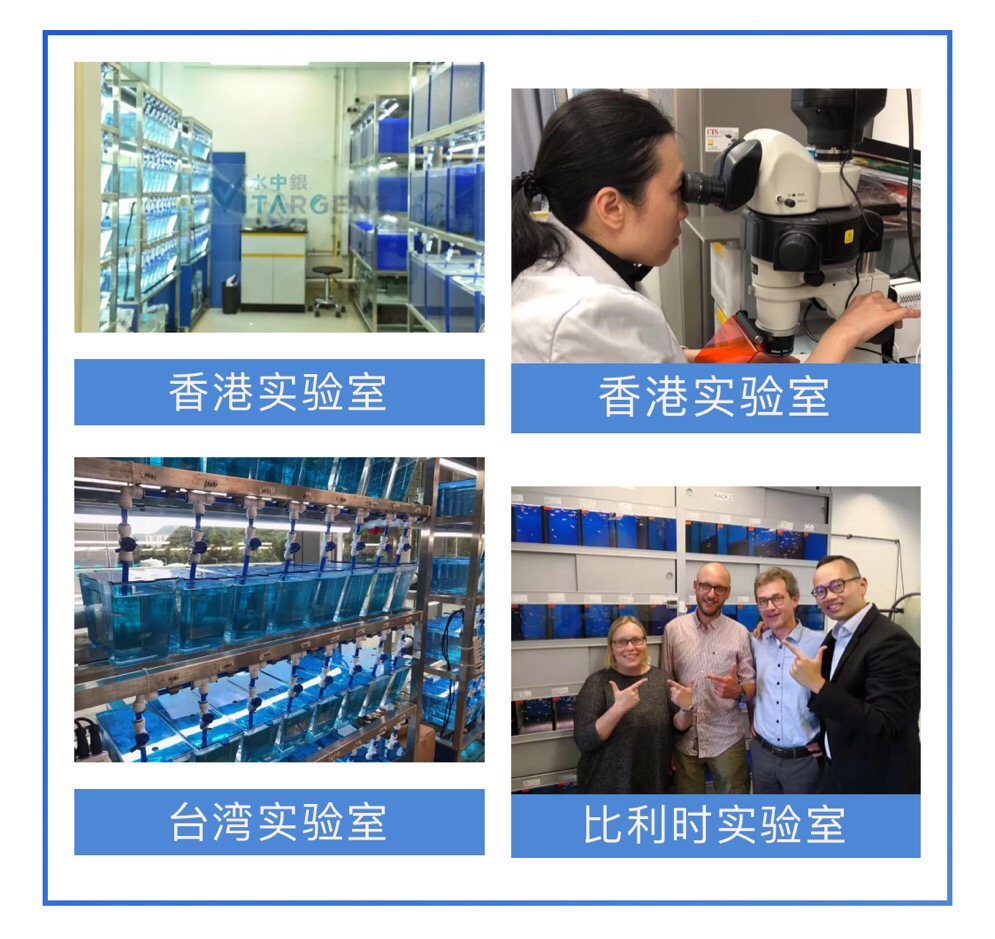 水中银小鱼,水中银小鱼亲测在国际上的地位