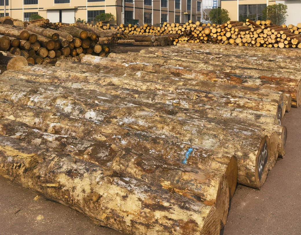 杉木桩户外寿命,如何有效预防杉木开裂