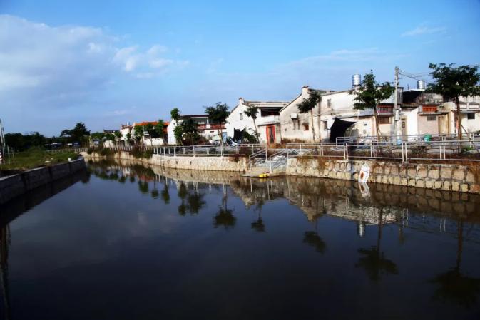 碧桂园乡村振兴项目,在家门口就可以致富创收