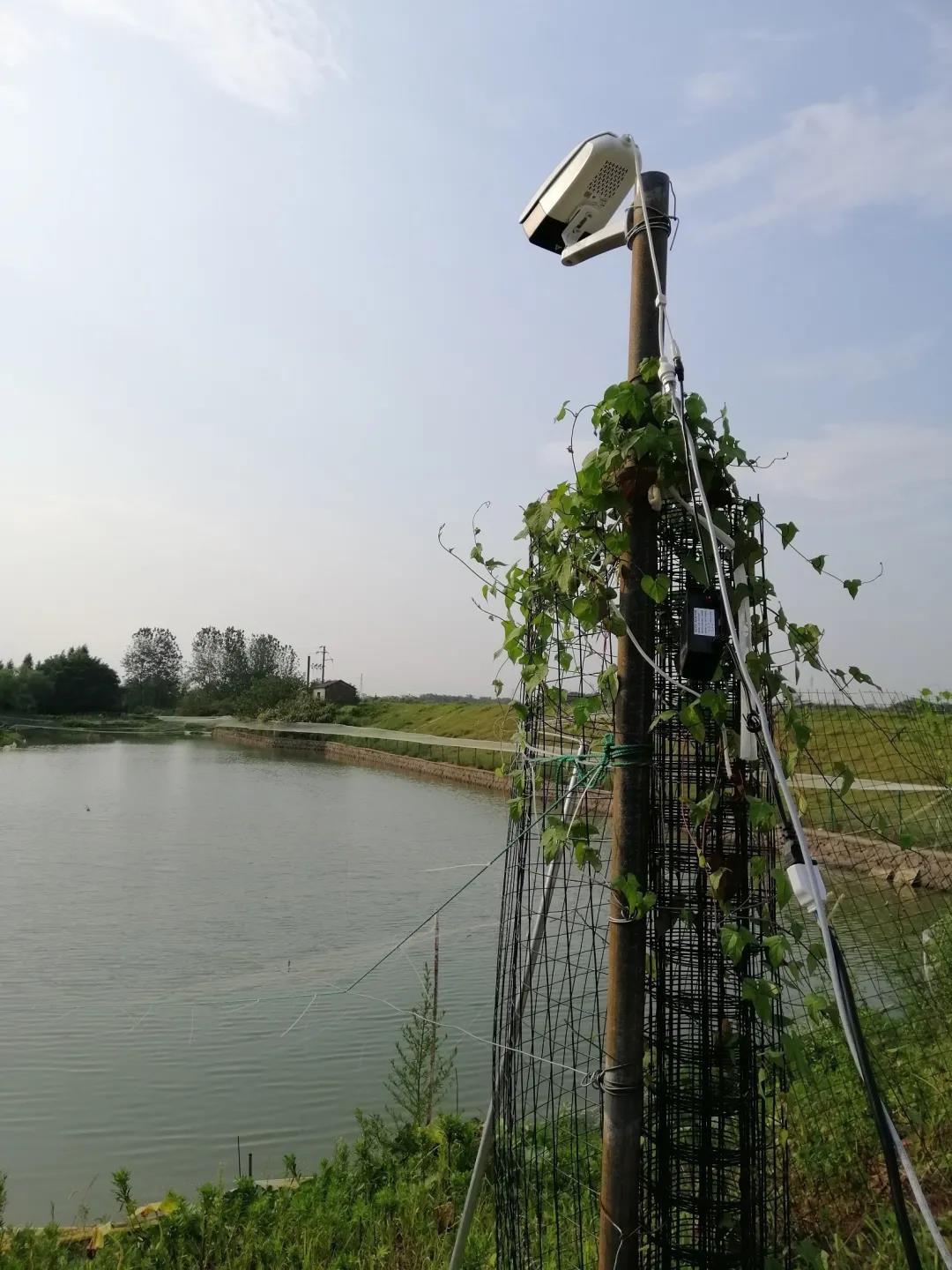 鱼塘摄像头多少钱一台,鱼塘监控无网无电怎么安装摄像头