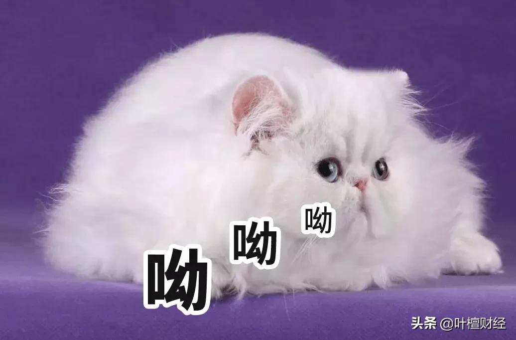 为什么京东方好,为什么京东方这么强