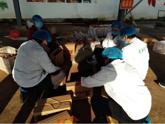 沂南：电商进农村助力乡村振兴