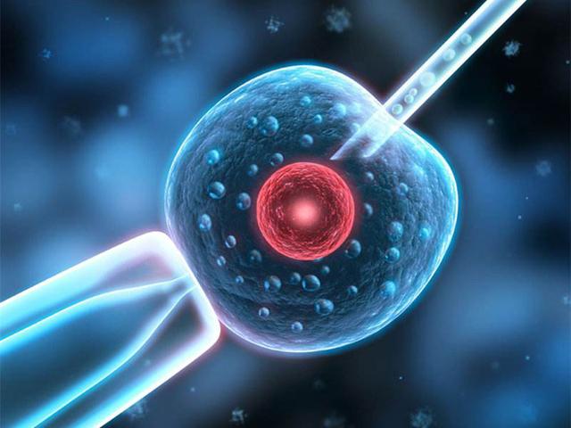 试管婴儿流程步骤图片解释,试管婴儿最痛苦的过程