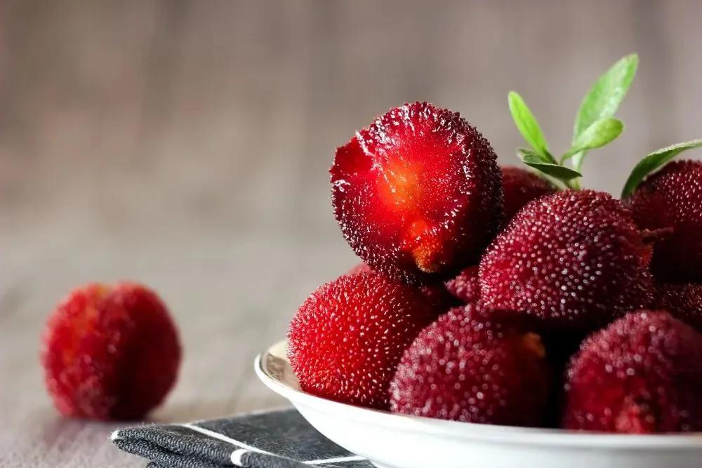 杨梅有虫不,杨梅有虫子能放心大胆吃吗