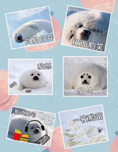 这届年轻人有多清醒,这届年轻人怎么爱上吸熊猫的