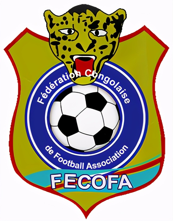 世界各足协标识（四）：非洲