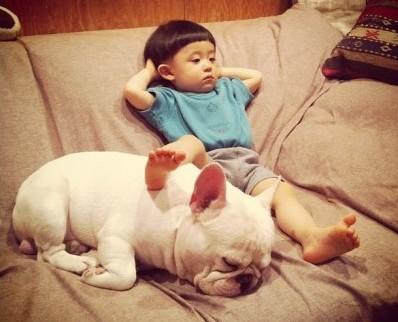 全世界100种名贵狗,世界上46多种名狗图文说明