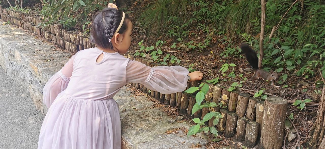 济南免费遛娃的地方,济南市十一带娃游玩好去处