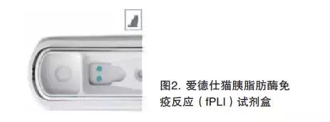 猫咪三体炎在家怎么治疗,猫咪三体炎不进食了怎么办