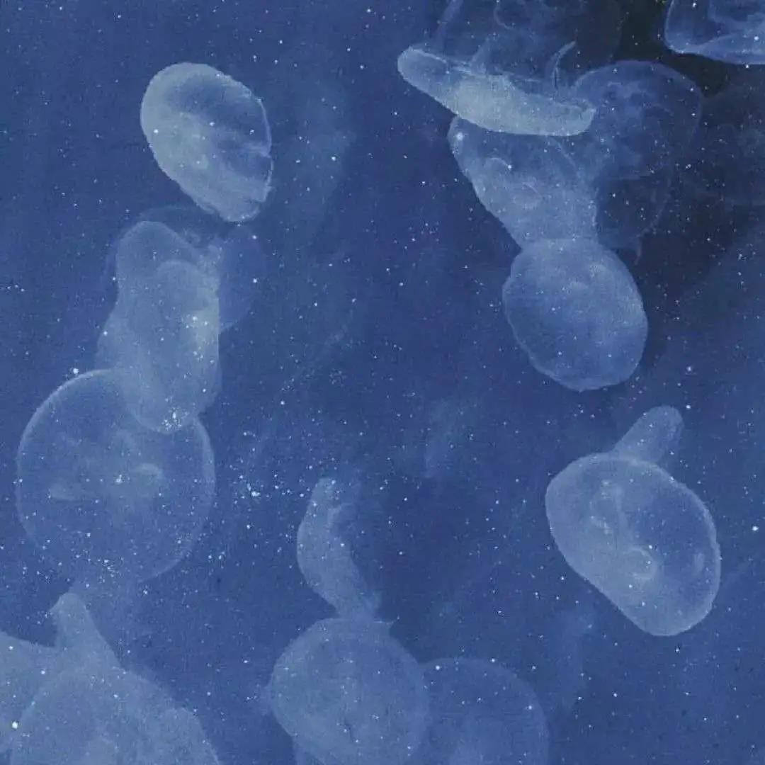 请你不要逼我语录,为什么就不能让我过得开心一点