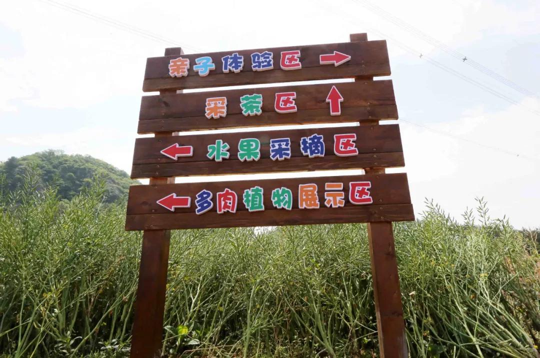 一起去瓶窑“拿块地”！古城旁，南山下，50个平方200元......