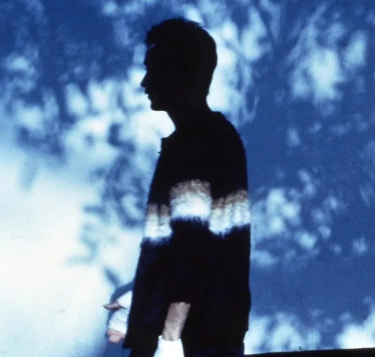 张国荣：作为自我性欲的明星