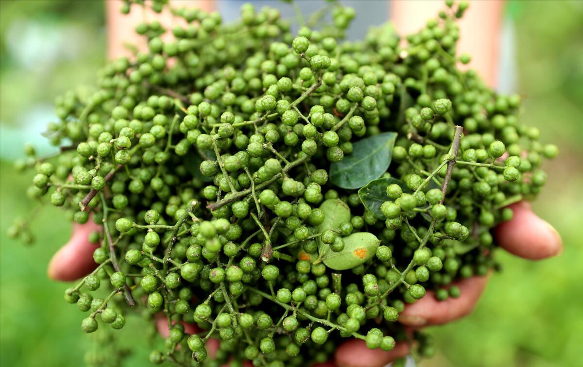 暴利工业废料变废为宝,重庆大叔将加工废蒸汽变废为宝