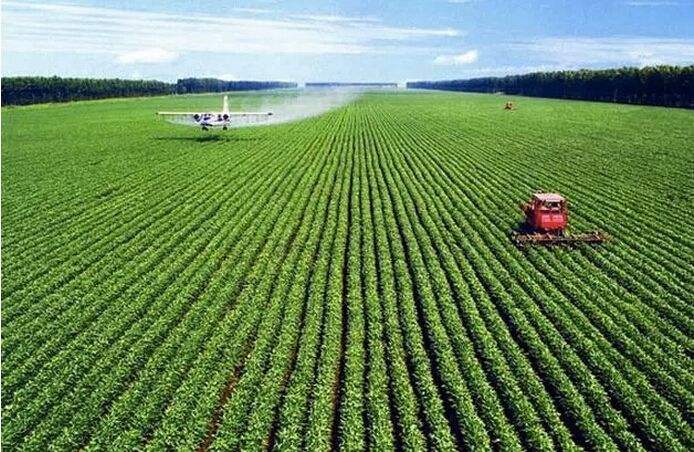 疫情对越南大米的影响,越南疫情大米价格走势最新消息