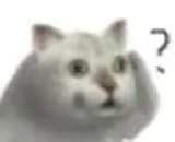 吐舌头的猫是有病吗,吐舌头的喵星人