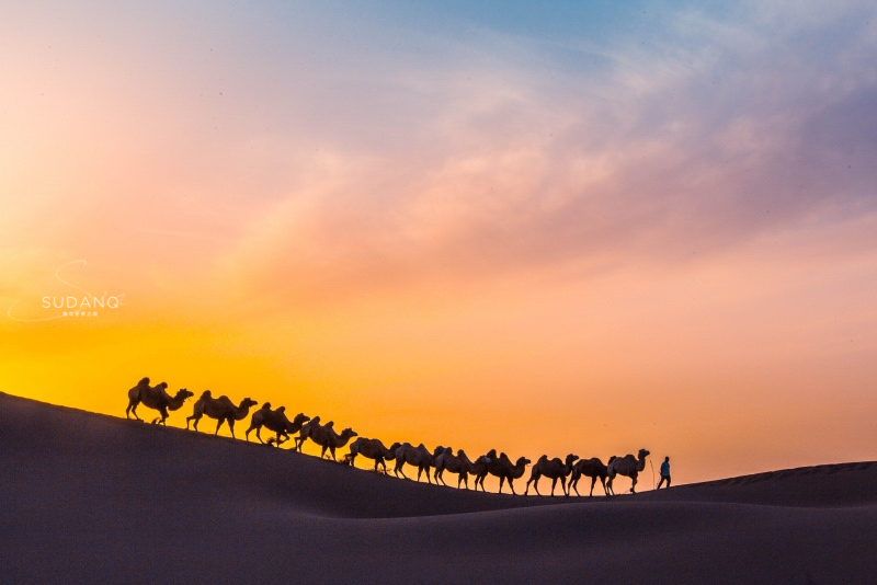 楼兰的消失之谜全集,楼兰古国的消失之谜