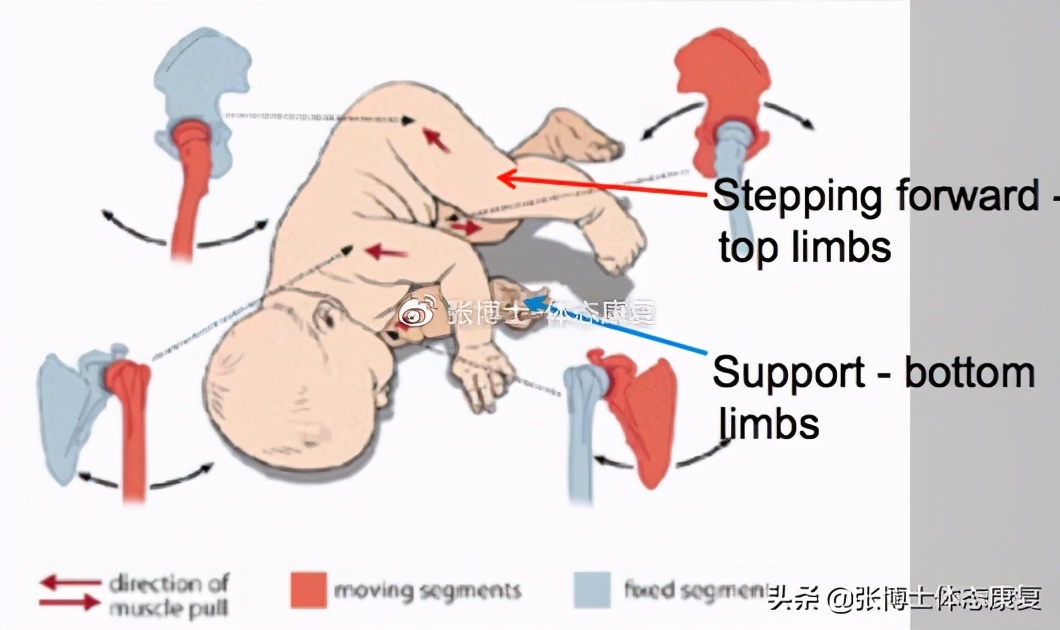 「功能训练」仰卧蜷腹滚动练习，真正提高你的核心稳定性