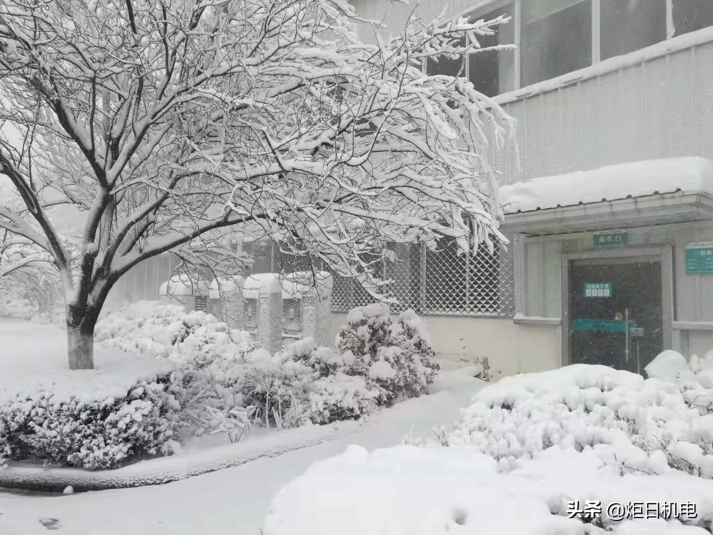 多地取暖用煤价格涨超2倍,多地供暖供能需求攀升