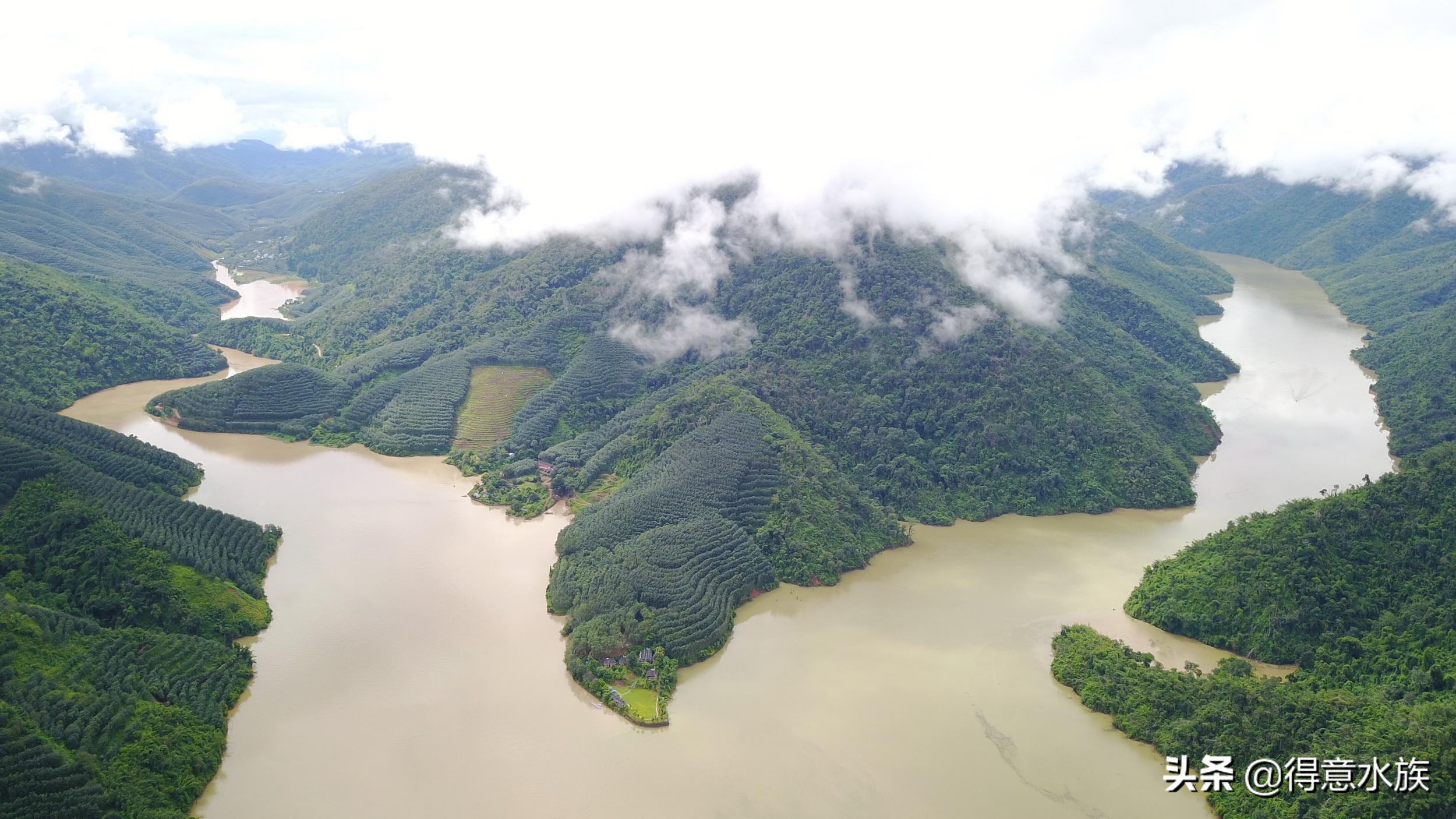养地图鱼可以不打氧吗,地图鱼最佳饲养温度