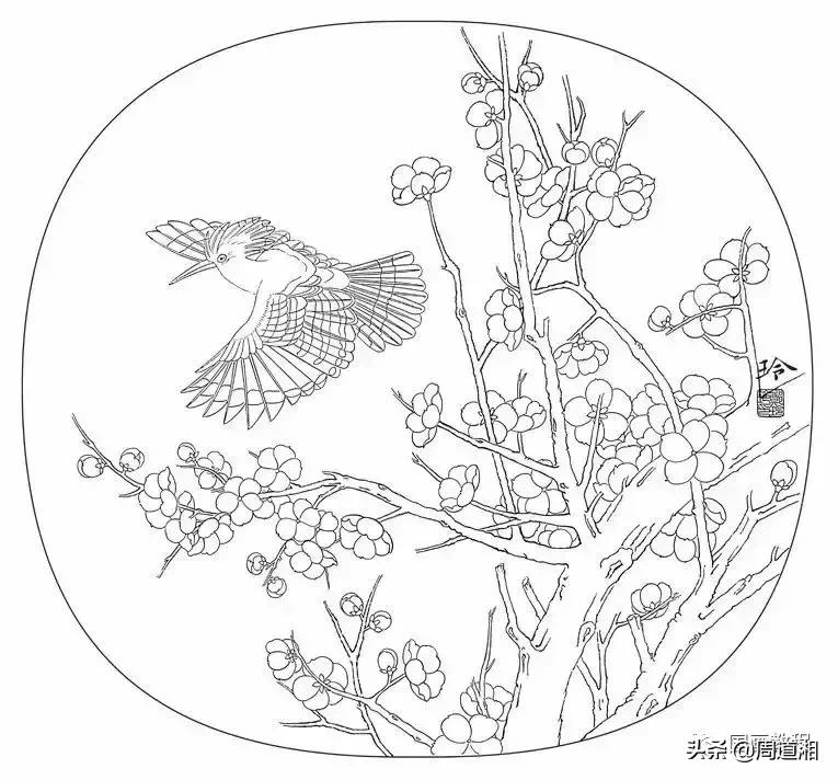 宋人工笔花鸟临摹步骤,工笔花鸟玉兰的画法