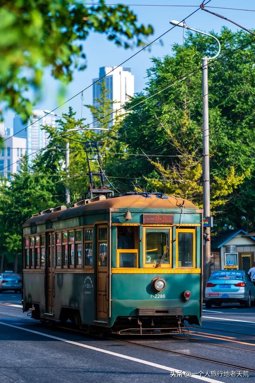 北方这座海滨老城，樱花不输日本，浪漫更胜巴黎
