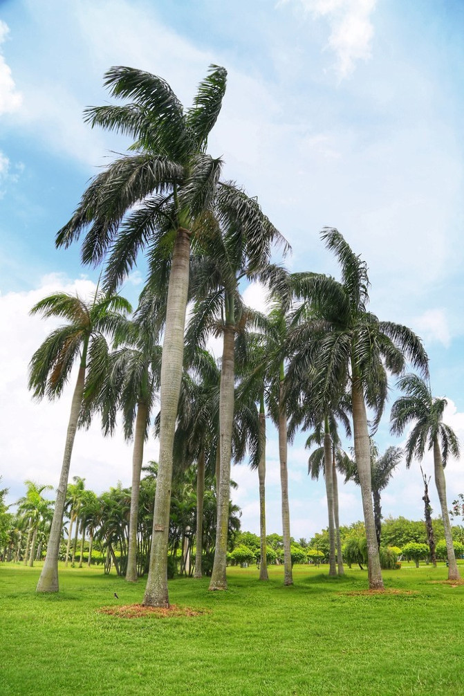 海南五日游之旅之海口,一起去海南玩的地方