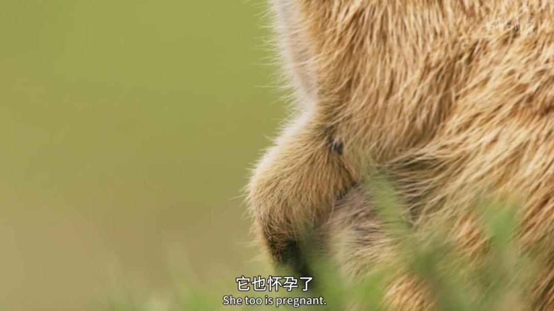 豆瓣评分9.5以上的国产电影有哪些,十部顶级神片推荐