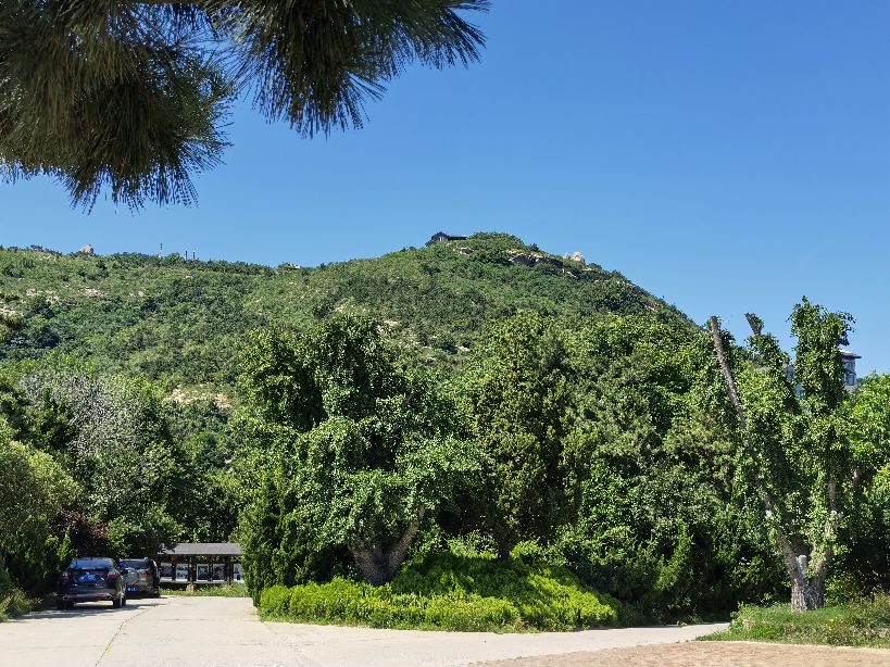 威海和厦门哪个海干净,威海的海干净美丽