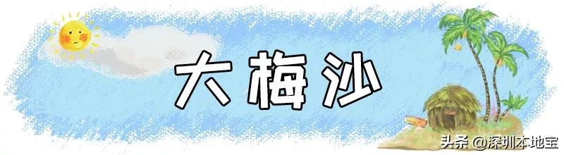 深圳免费的景点有哪些地方,深圳有哪些免费又好玩的地方景点