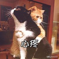 遭遇百般霸凌后,机器人竟将枪口对准人类