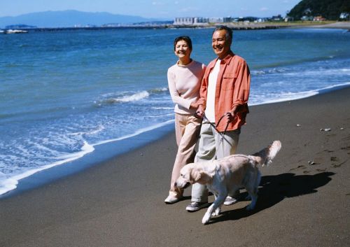 品质彰显实力见证|宜养神州全面布局，引领房车养老产业大方向